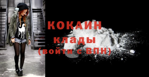 дживик Абаза