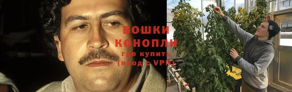 дживик Абаза