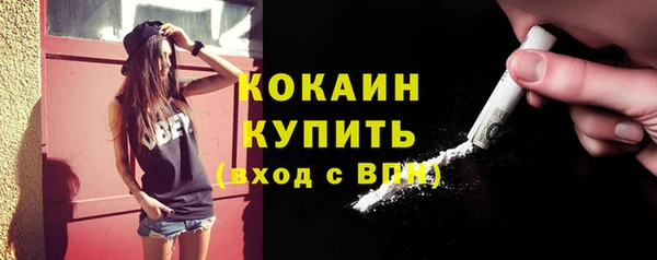 дживик Абаза