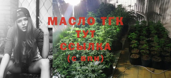 СК Алзамай